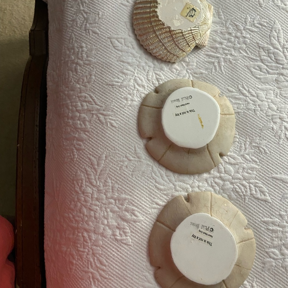 Sand Dollars  and shell Decor Set - Picture 6 of 11